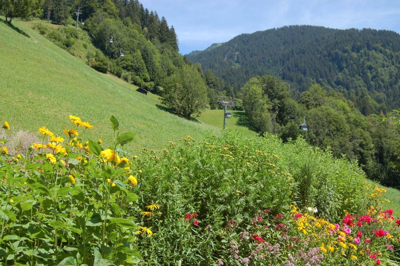 Appartements Karin Mitten Im Gruenen Schoppernau Εξωτερικό φωτογραφία